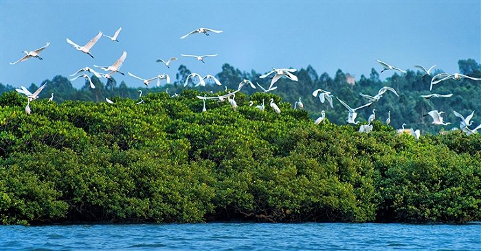 項(xiàng)目展示圖